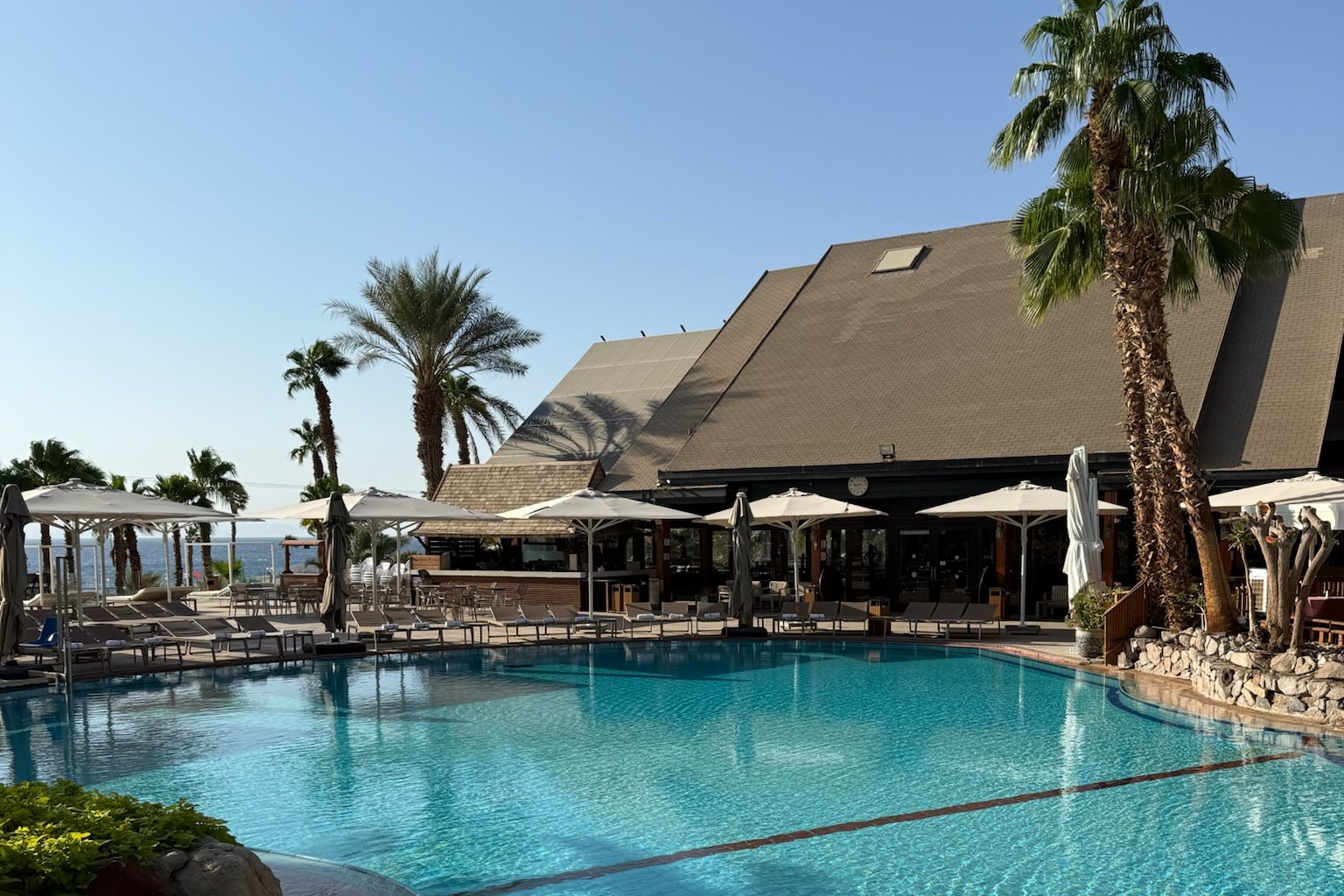 Orchid Hotels — the pool beneath the palms