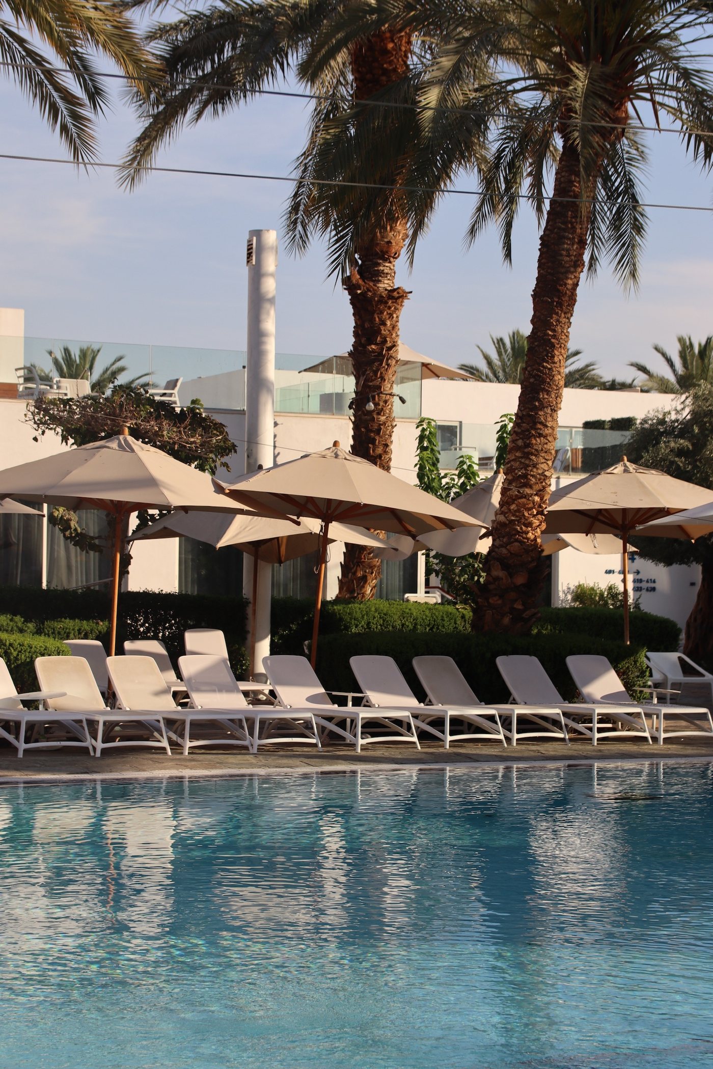 The pool beneath the palms