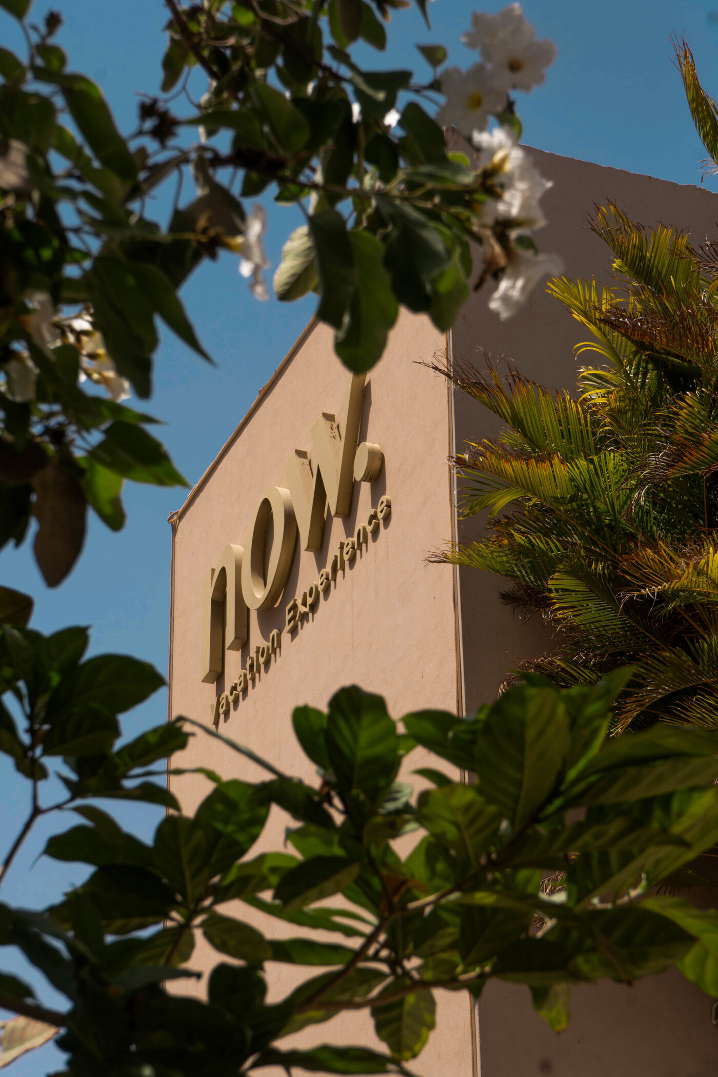 NOW Vacation Experience — the signage on the building, seen through the foliage
