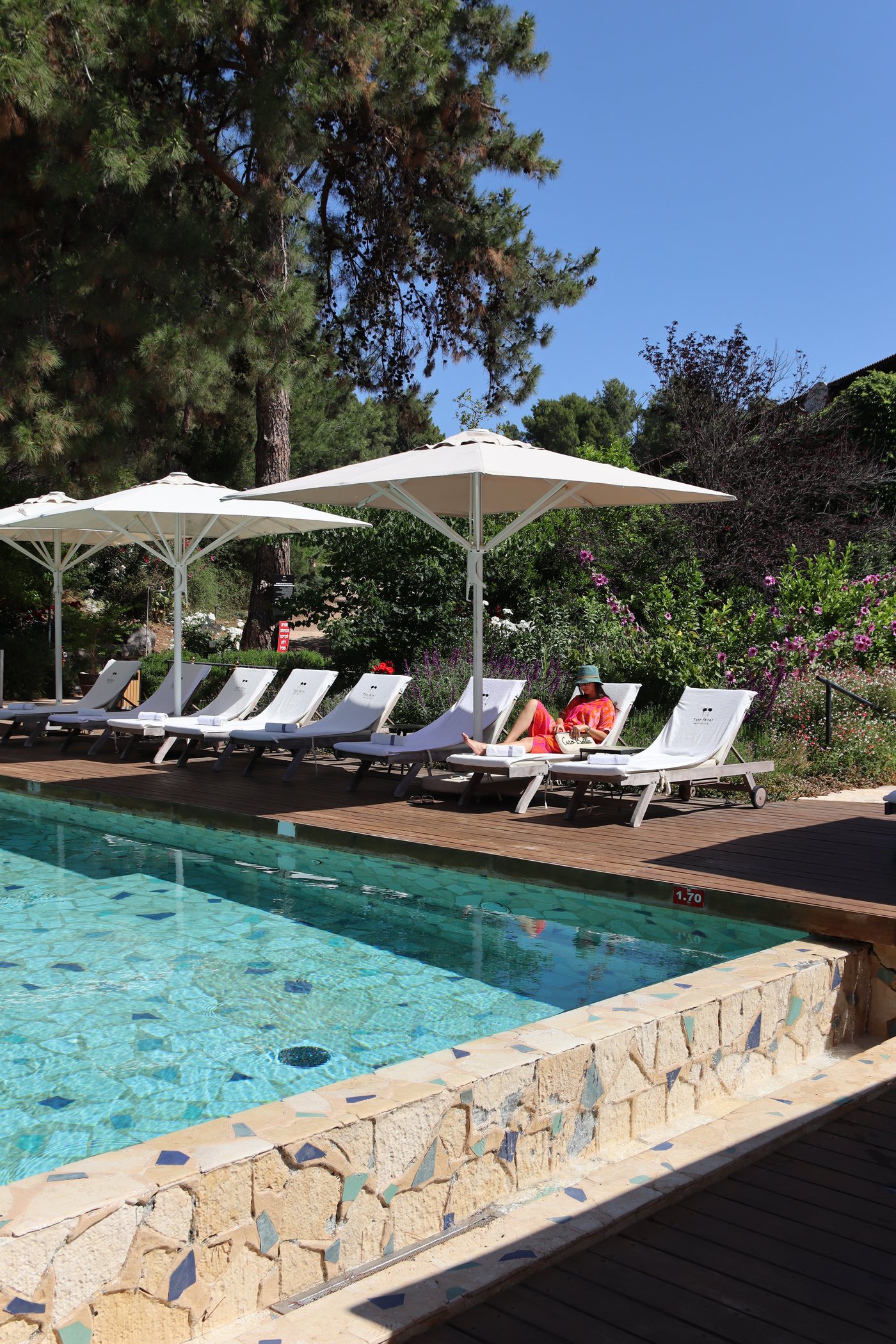 The pool and its loungers beneath the pines