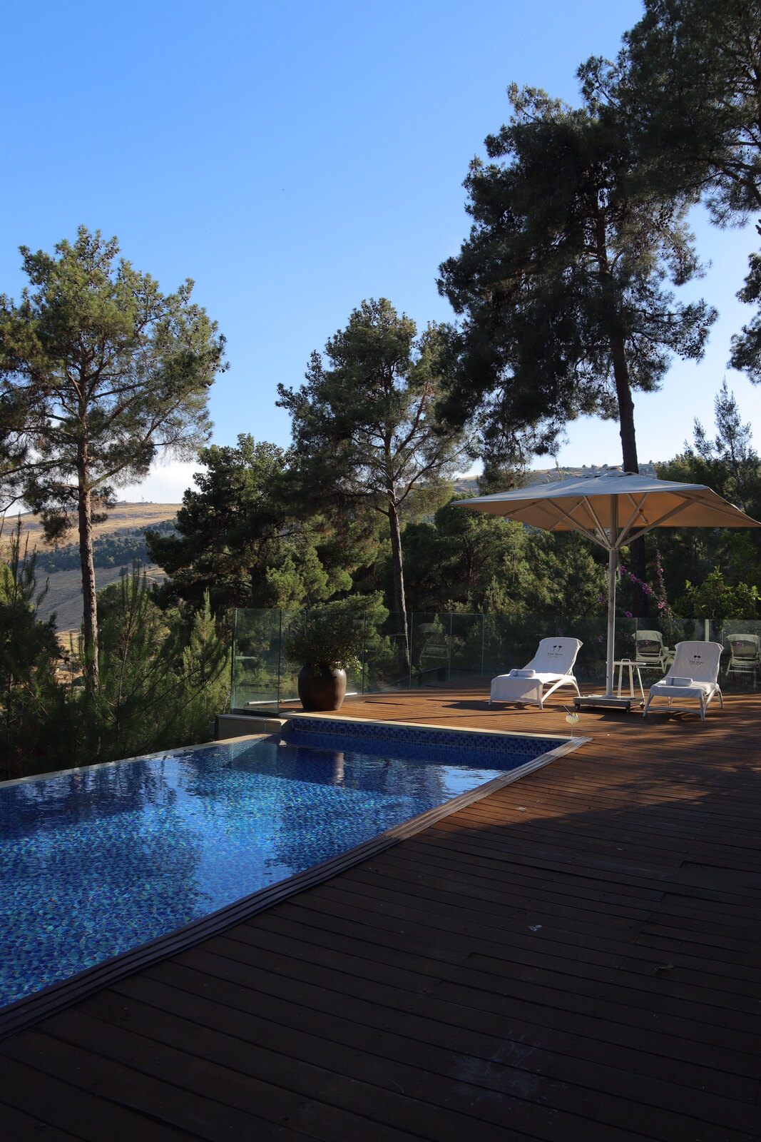 The Setai Bayit Bagalil — the pool and deck among the pines