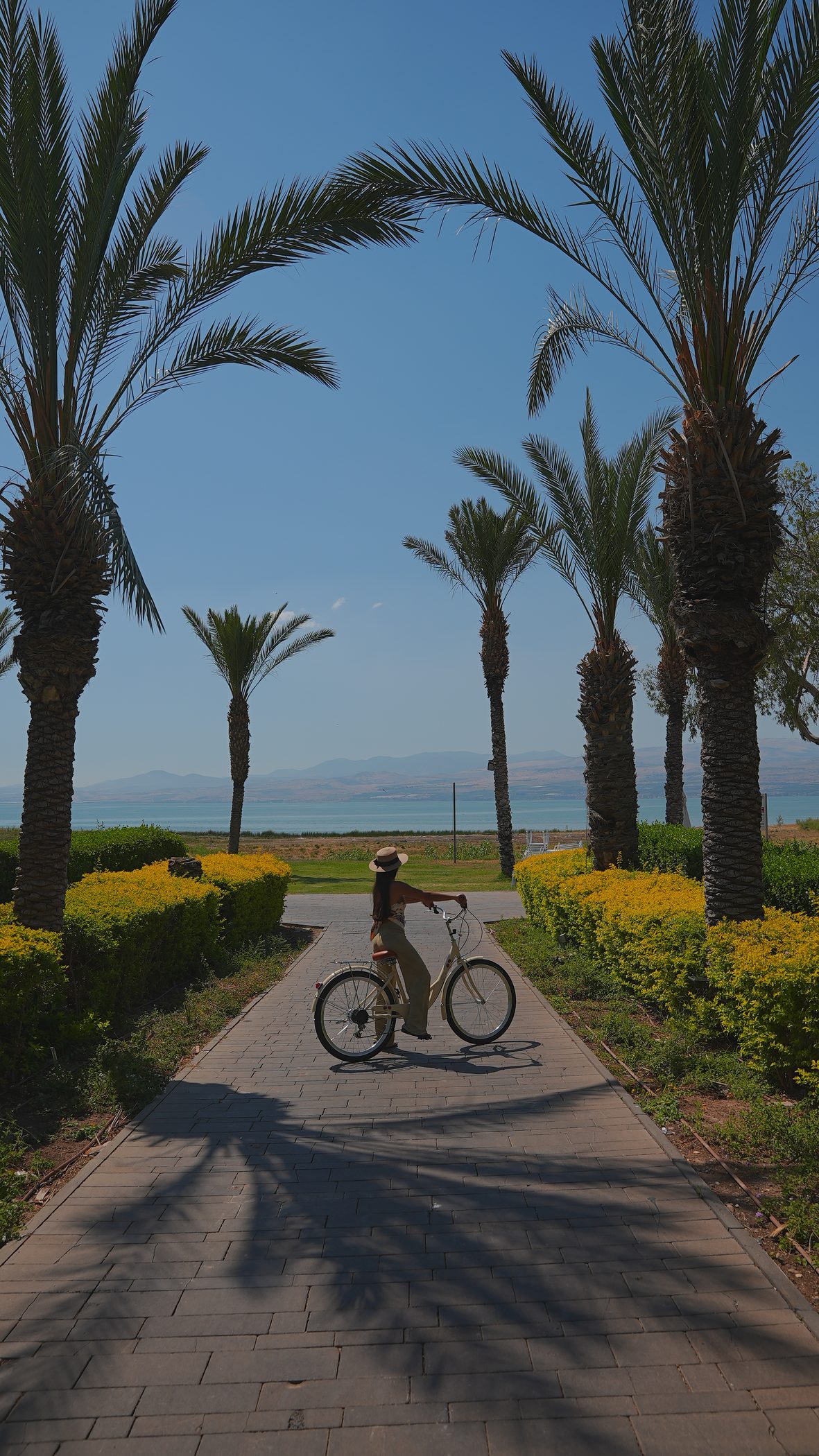 Cycling the path beneath the palms, the hills beyond